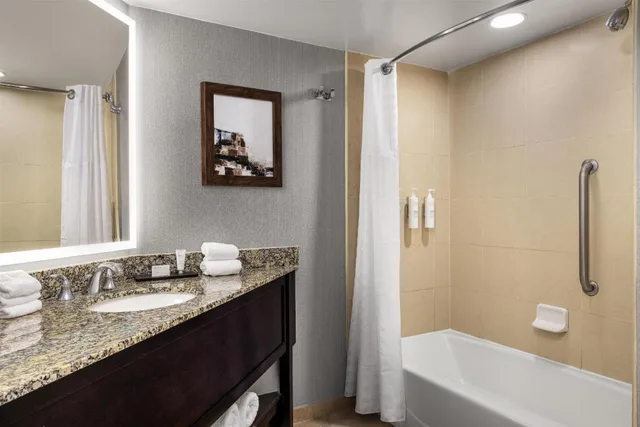 Pure, Wellness, Suite, King Bed, Sofa, Accessible، Embassy Suites by Hilton Birmingham 5/5