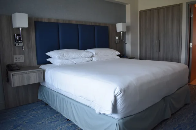 غرفة بسرير كينج لذوي الإعاقة، Doubletree By Hilton Managua 4/8