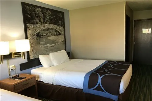 غرفة بسرير كوين لذوي الإعاقة، Boarders Inn and Suites by Cobblestone Hotels Waterloo 1/1