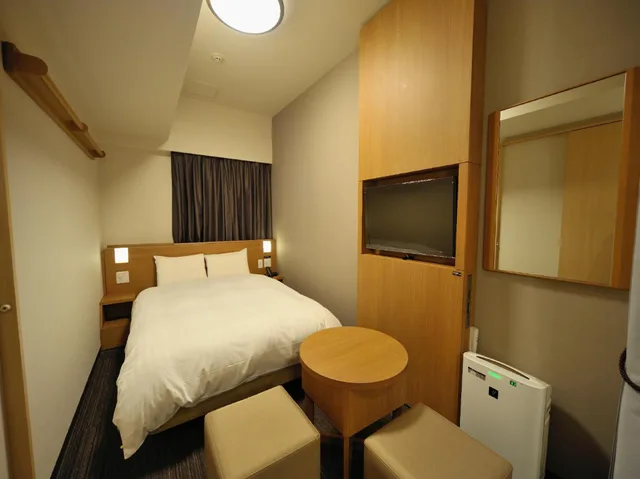 Moderate, Double Bed، Dormy Inn Akihabara 5/9