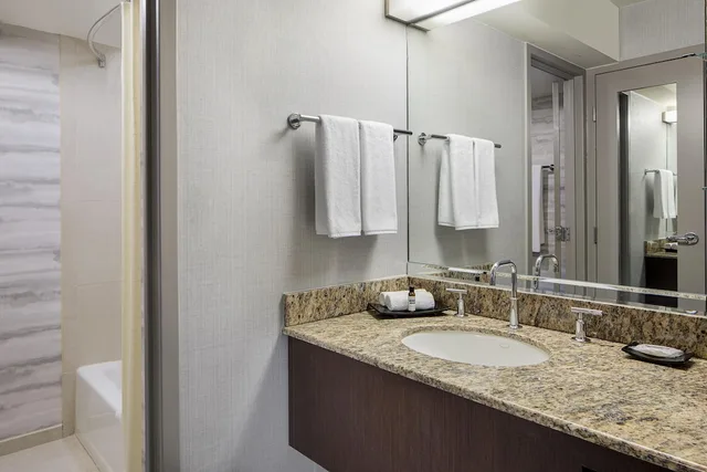 Room, King Bed, Hyatt Regency DFW International Airport 4/6
