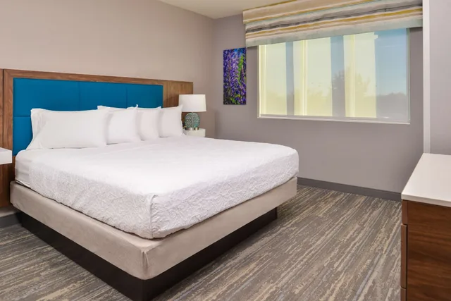 جناح بسريرين كينج مع أريكة، Hampton Inn & Suites Boise/Spectrum 1/9