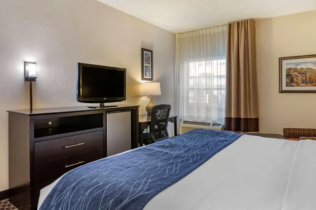 Room, King Bed, Bathtub, Accessible, Comfort Inn Wings Stadium 5/10