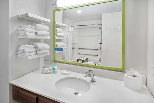 Studio, Suite, King Bed, Accessible, Hampton Inn Suites Portland Corpus Christi 1/1