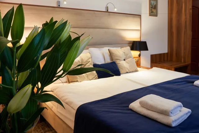 Deluxe, Queen Bed, Hotel Fortuna Bis 1/10