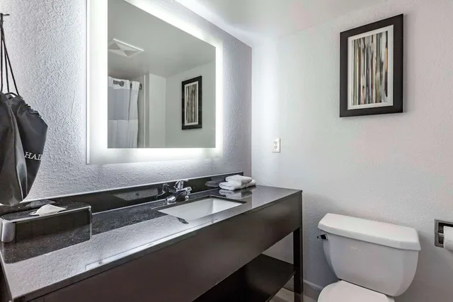 غرفة بسرير كينج بجاكوزي، Comfort Inn & Suites Grand Blanc/Flint 7/10