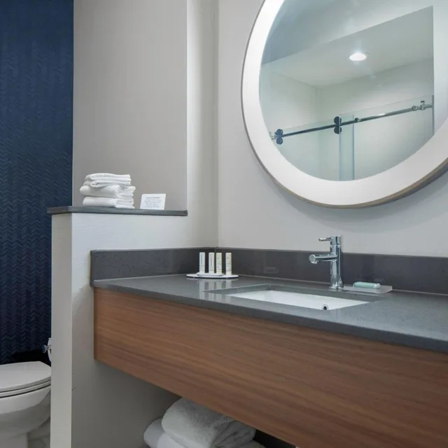 غرفة بسرير كينج بحوض استحمام لذوي الإعاقة، Fairfield Inn & Suites by Marriott Dallas McKinney 4/6