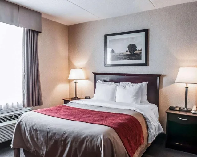 Upgrade, Efficiency, King Bed, Comfort Inn Mississauga 5/6