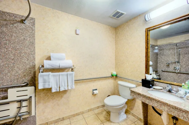 جناح بسرير كينج مع أريكة لذوي الإعاقة، Holiday Inn Express And Suites Granbury 3/4