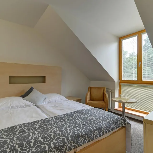 غرفة قياسية بسرير مزدوج أو سريرين منفصلين، U Pramenu Hotel 2/10