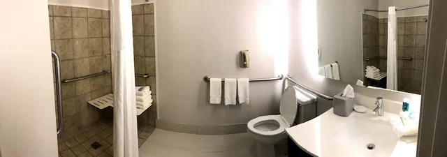 غرفة قياسية بسرير كينج لذوي الإعاقة، Holiday Inn Express Hotel And Suites Decatur 4/5