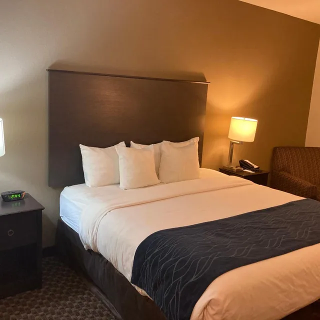 Room, King Bed, Bathtub, Accessible, Comfort Inn Wings Stadium 6/10