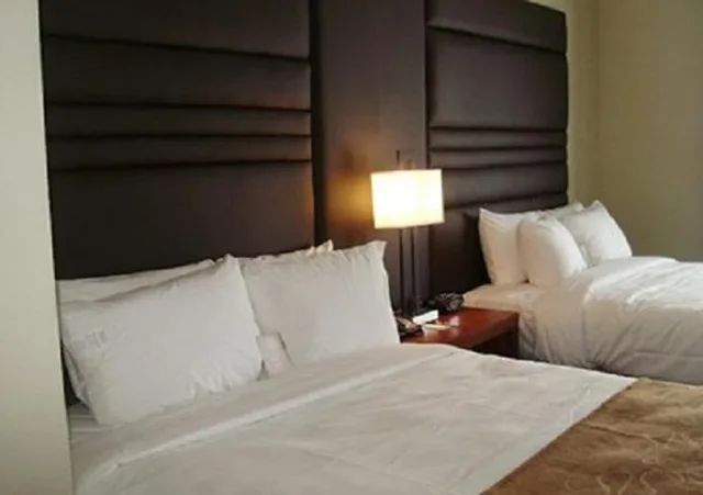 جناح بسرير كوين، Comfort Suites Near Tanger Outlet Mall 4/4