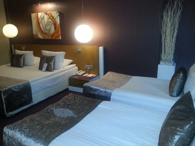 غرفة سوبيريور عائلية، City Hotel Ankara 1/1