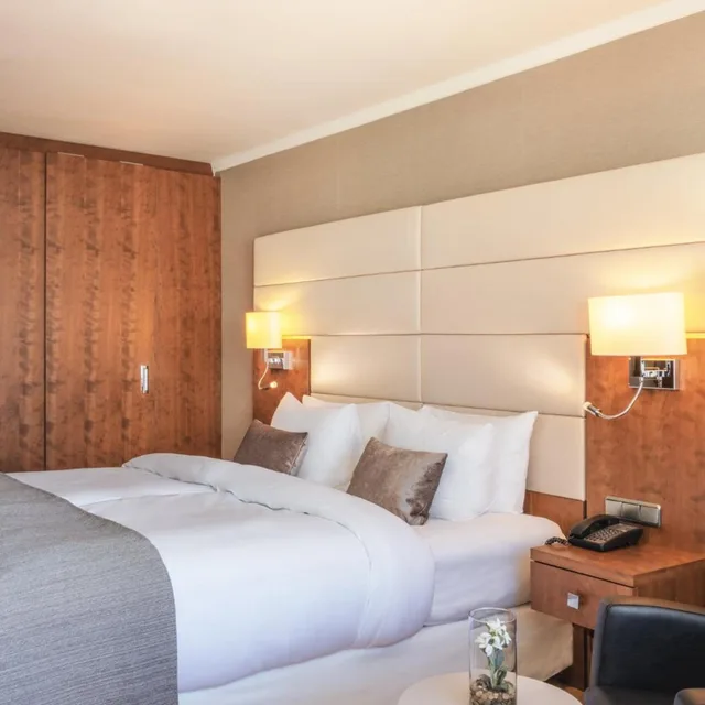 جناح بزنس، Crowne Plaza Frankfurt Congress Hotel 1/8