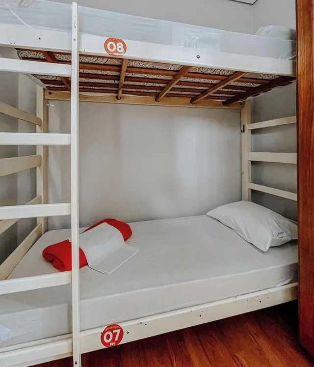 Female Dorm, Exclusive, Female Only, 2 Bunk Beds، Pup Hostel Sc 2/4
