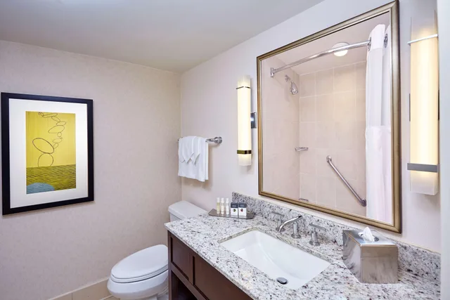 غرفة بسرير كوين لذوي الإعاقة، Doubletree By Hilton Hotel Washington Dc Crystal City 2/3