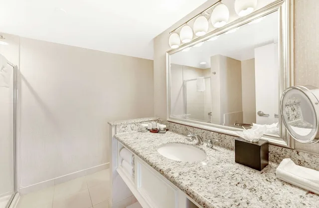 Suite, King Bed, Bathtub, Embassy Suites by Hilton Anaheim Orange 7/9