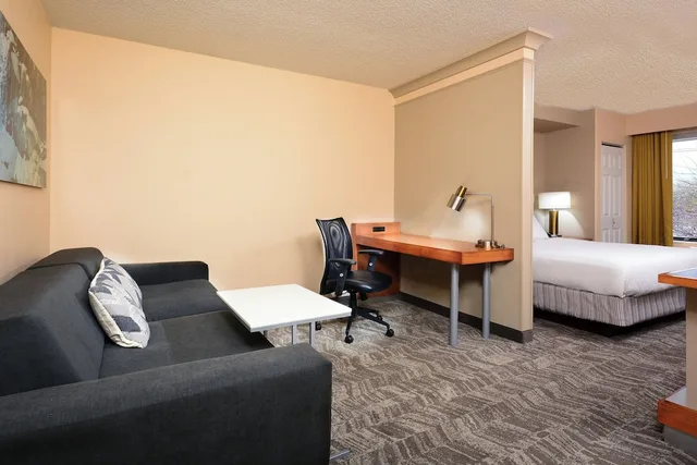 استوديو بسرير كينج مع أريكة، Springhill Suites By Marriott Lynchburg Airport/University Area 2/8