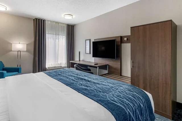غرفة بسرير كينج يُسمح فيها بالحيوانات الأليفة، Comfort Inn & Suites Troutville-Roanoke North 2/9
