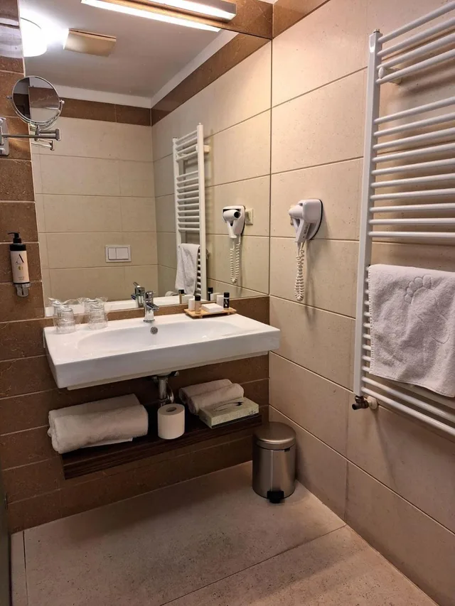 غرفة قياسية بسريرين منفصلين، Duna Garden Hotel 9/9
