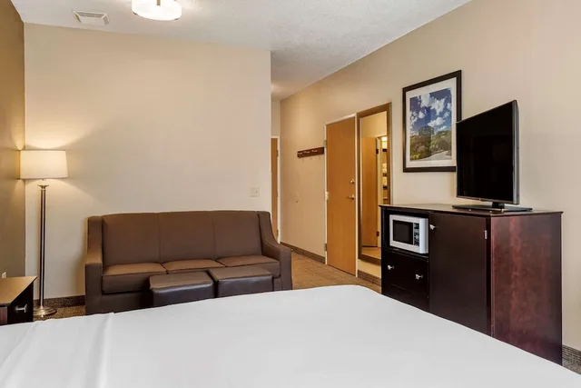 غرفة قياسية بسرير كينج مع أريكة لذوي الإعاقة، Comfort Inn And Suites Paw Paw 1/6