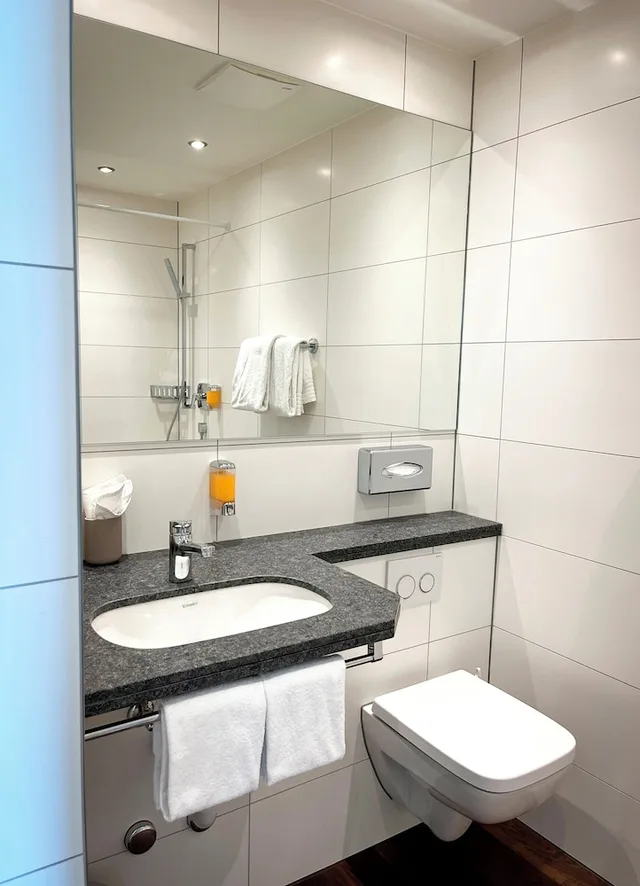 Standard, Twin Beds, Boutique Hotel Waldegg Horw 7/9