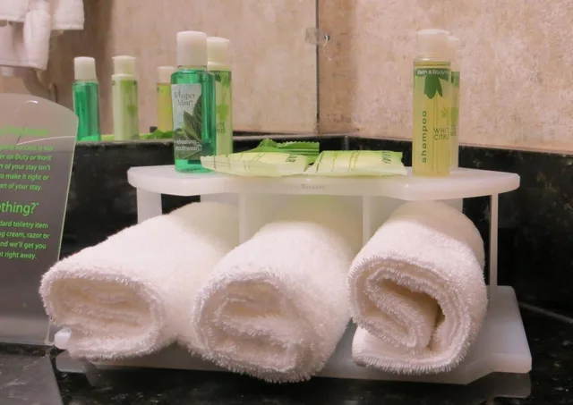 جناح بسرير كينج مع أريكة لذوي الإعاقة، Holiday Inn Express Hotel And Suites George West 1/1