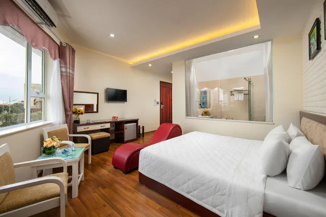 غرفة ديلوكس، New Airport Hotel 5/5