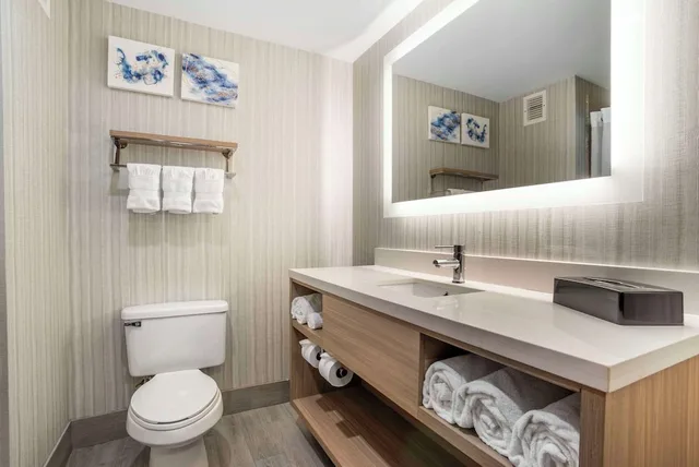 جناح بسرير كينج مع أريكة، Comfort Suites At WestGate Mall 7/7