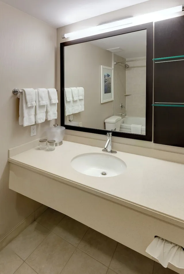 غرفة قياسية بسرير كينج بإطلالة على النهر، Niagara Fallsview Hotel & Suites 6/8