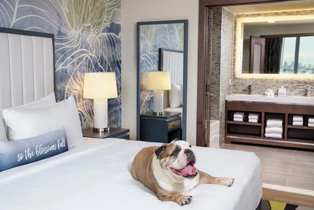 جناح بسرير فردي بغرفة نوم واحدة مع أريكة، Hotel Indigo Flushing 1/4