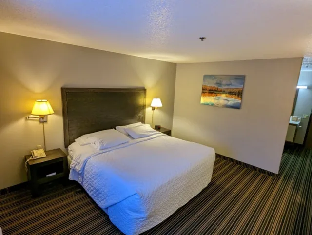 غرفة قياسية بسرير كينج، Woodfield Inn and Suites 2/7