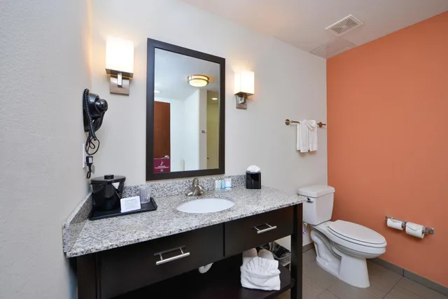 غرفة بسرير كينج بحوض جاكوزي لذوي الإعاقة، Sleep Inn Suites Austin Northeast 3/8