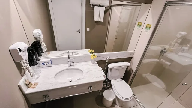غرفة بريميوم بسرير فردي، Holiday Inn Belo Horizonte Savassi 6/7