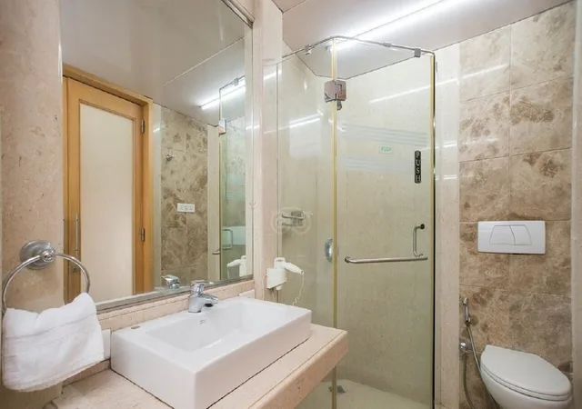 غرفة ديلوكس بسرير مزدوج، Regent Hotel 6/6