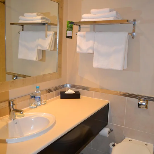 غرفة تنفيذية بسرير كينج للمدخنين، Southern Sun Pretoria 3/8