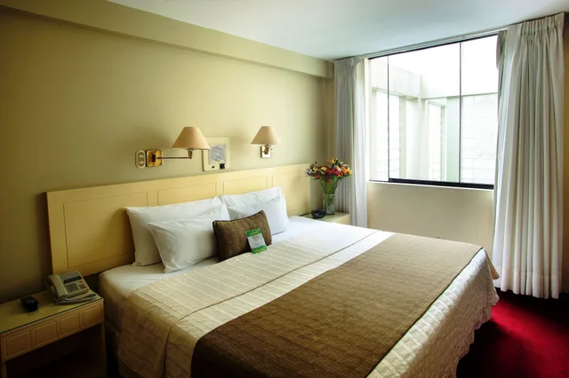 غرفة قياسية بسرير كينج، Embajadores Hotel 1/3