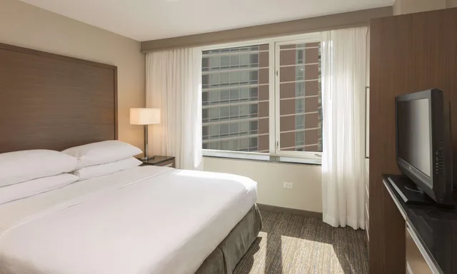 جناح أساسي بسرير كينج مع أريكة، Embassy Suites by Hilton Chicago Downtown Magnificent Mile 3/9