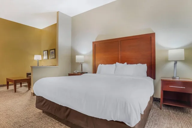 جناح بسرير كينج مع أريكة لذوي الإعاقة، Comfort Suites Montgomery East Monticello Dr 4/8