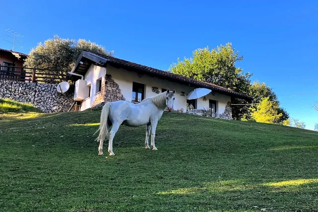 Tenuta Valdomini، Udine 35/50