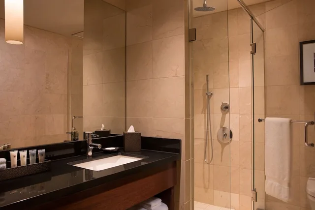 Standard King, Millennium Hotel Knickerbocker Chicago 7/9