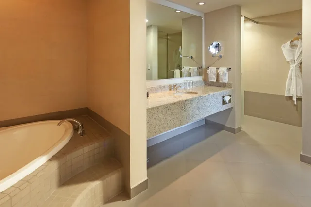 غرفة قياسية بسريرين مزدوجين لذوي الإعاقة، Crowne Plaza Leon 8/9