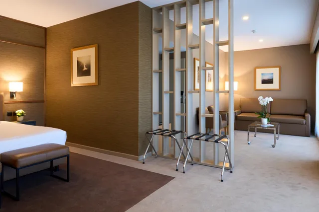 جناح جونيور بسرير كينج مع أريكة، Portus Cale Hotel 4/4