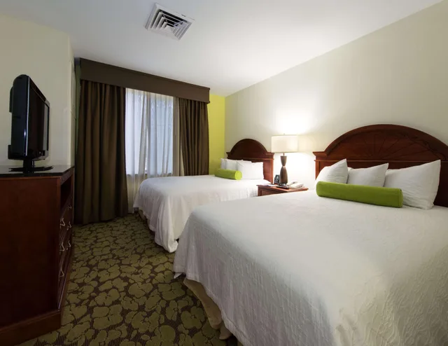 جناح بغرفة نوم واحدة، Hilton Garden Inn Lafayette Cajundome 1/2
