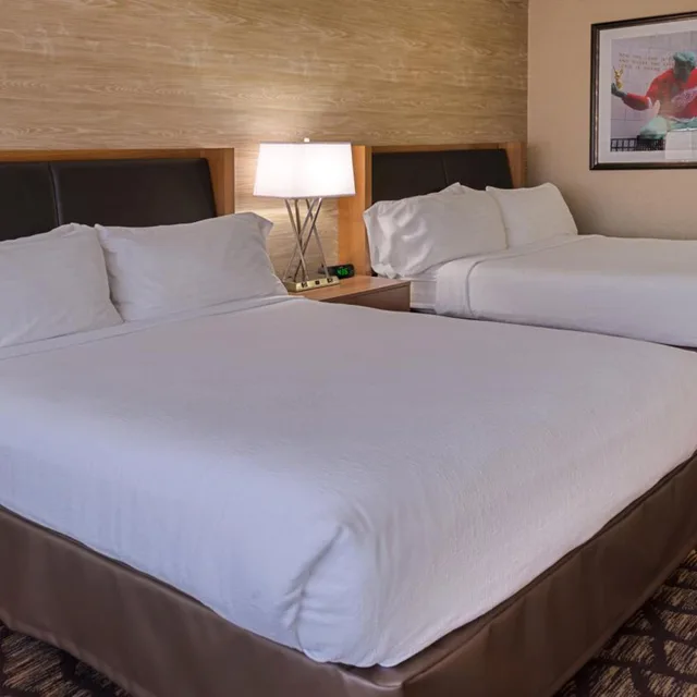 Room, Twin Beds, Accessible, Holiday Inn Hotel Suites Warren 4/6
