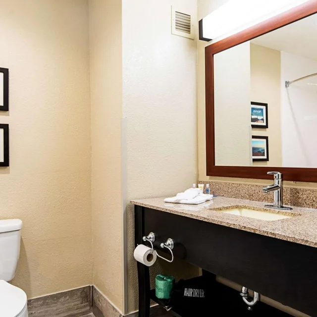 جناح بسريرين كوين لذوي الإعاقة، Comfort Inn & Suites Pine Bluff 6/6