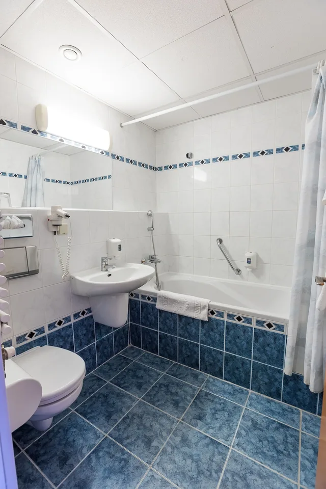 غرفة سوبيريور بسريرين منفصلين، Pannonia Hotel 5/6