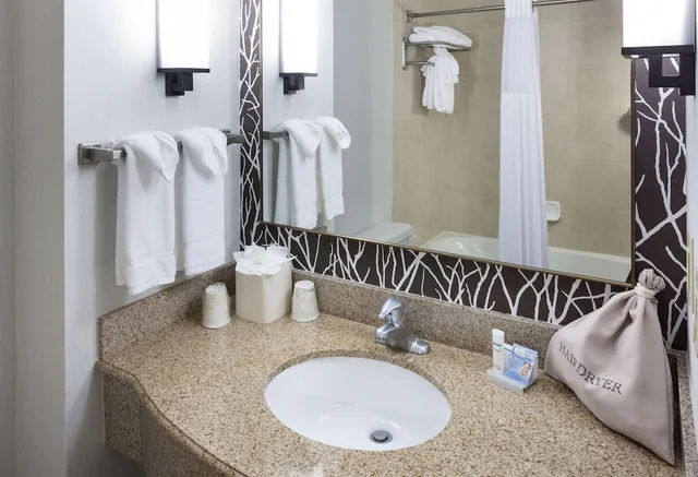 Evolution, King Bed, Sofa، Hilton Garden Inn Nashville-Vanderbilt 3/3