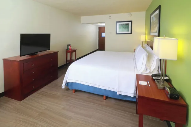 Standard, King Bed, Central Building، Holiday Inn Express Guadalajara Aeropuerto an IHG Hotel 10/10